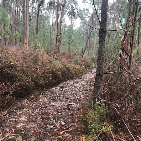 Povoa Mar * Póvoa de Varzim
