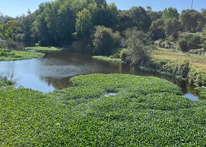 Povoa Mar 홈스테이 포보아데바짐