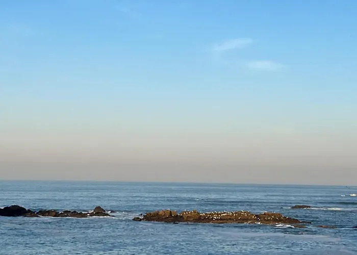 홈스테이 Povoa Mar 포보아데바짐