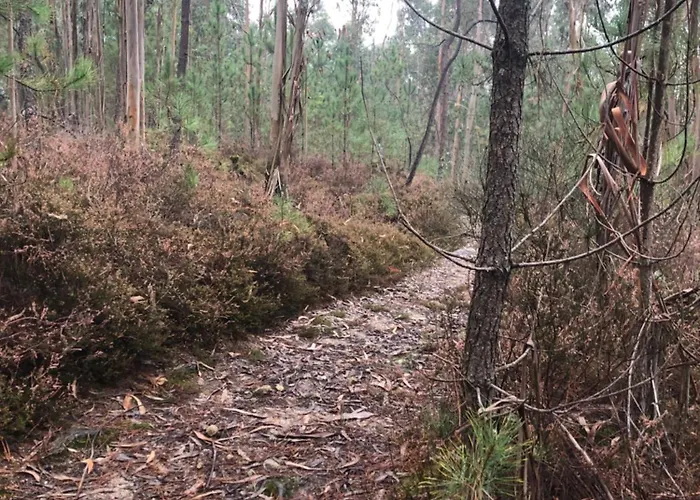 Povoa Mar * 포보아데바짐